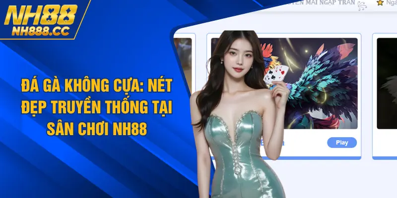 Đá Gà Không Cựa: Nét Đẹp Truyền Thống Tại Sân Chơi NH88