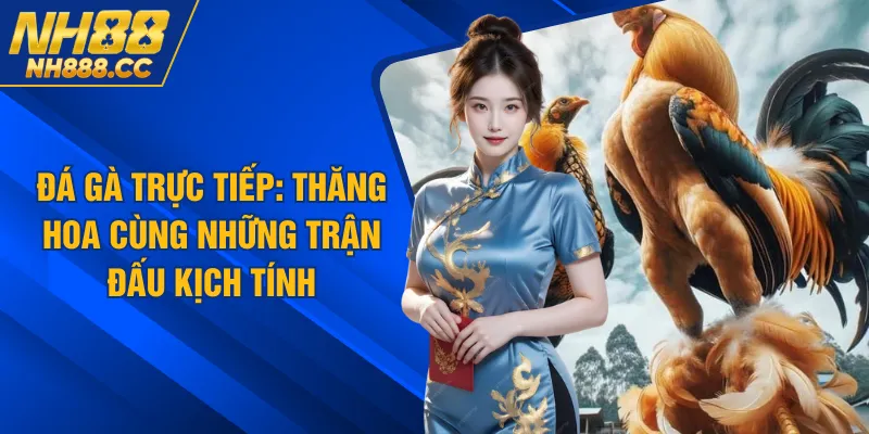 Đá Gà Trực Tiếp: Thăng Hoa Cùng Những Trận Đấu Kịch Tính
