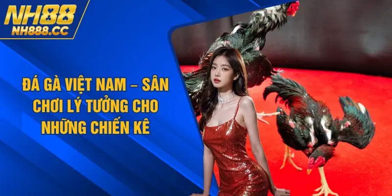 Đá gà Việt Nam – Sân Chơi Lý Tưởng Cho Những Chiến Kê