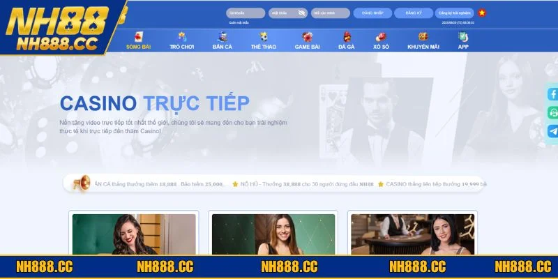 Người chơi cần tuân thủ quy định rõ ràng để đảm bảo công bằng