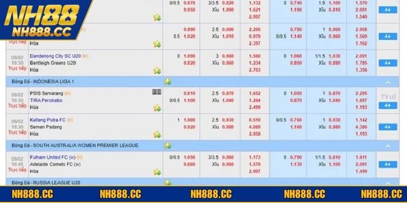 Ví dụ trực quan về cách tính tiền thắng thua khi chơi kèo trên dưới