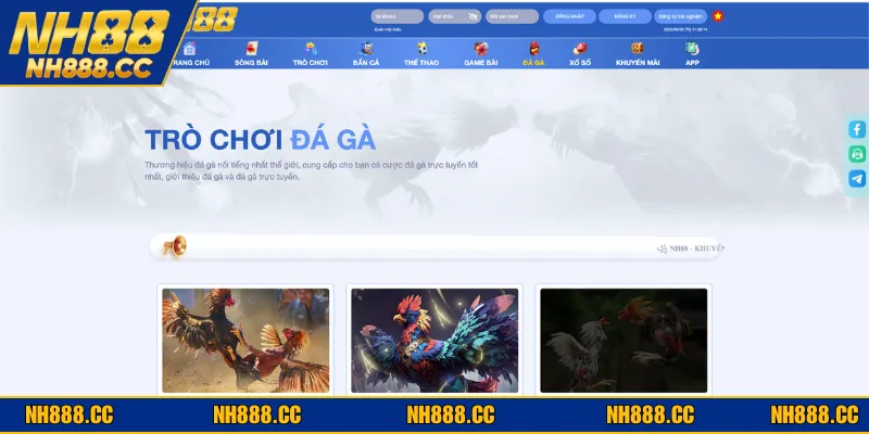 Tổng hợp các thể loại đá gà trực tiếp tại sòng bạc